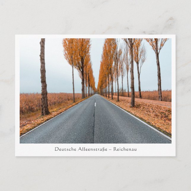 Carte Postale Route allemande des avenues (Devant)