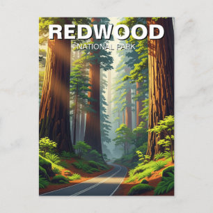 Carte Postale Route dans le parc national de Redwood