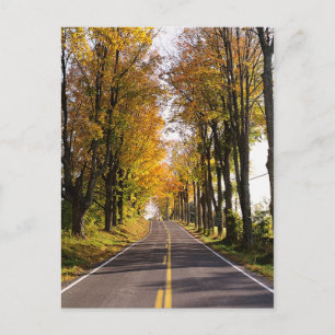 Carte Postale Route d'automne
