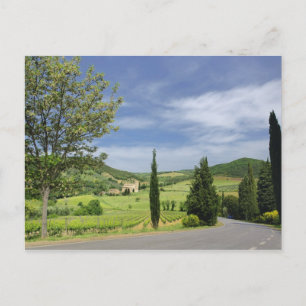 Carte Postale Route de campagne sinueuse entre des cyprès en