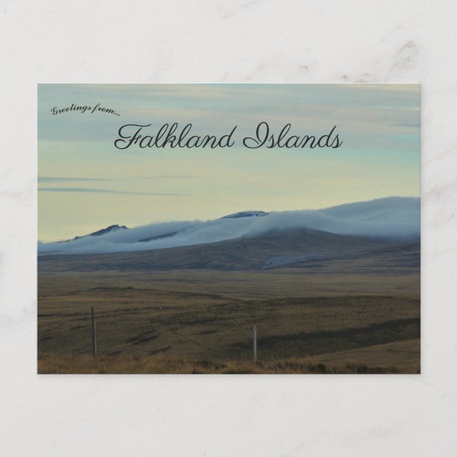 Carte Postale Route de Darwin Îles Malouines (Devant)