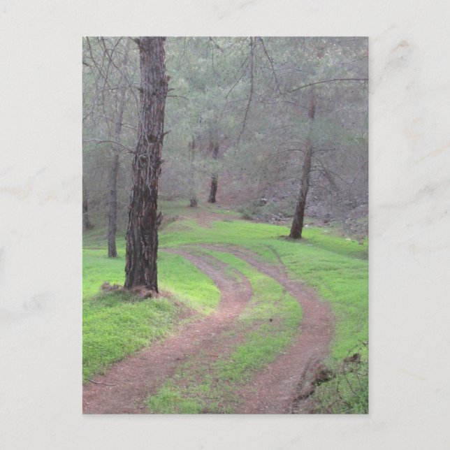 Carte Postale Route de la Pine Forest (Devant)