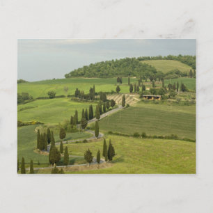 Carte Postale Route de Pienza à Montepulciano,