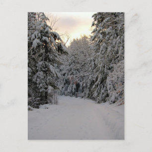 Carte Postale Route d'hiver