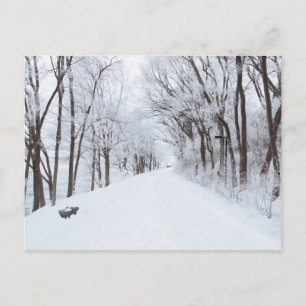 Carte postale Route d'hiver