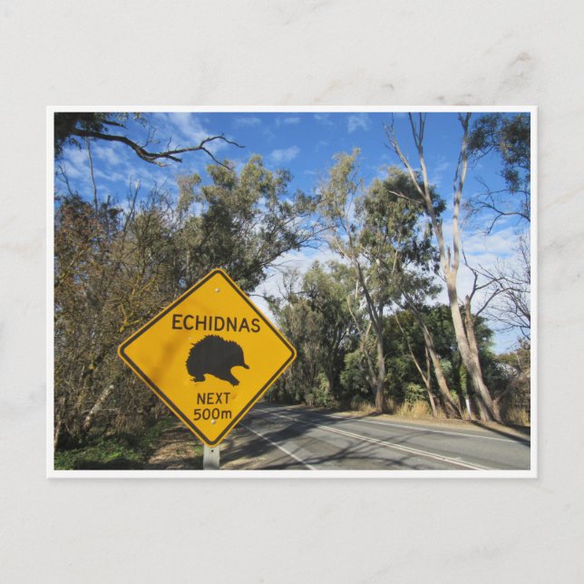 Carte Postale route echidnas (Devant)