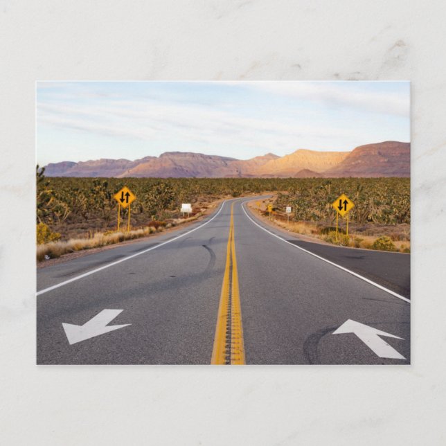 Carte Postale Route Le Parc National Joshua Tree (Devant)