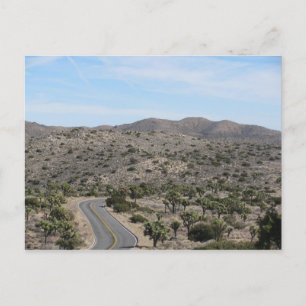 Carte Postale Route ouverte - Joshua Tree