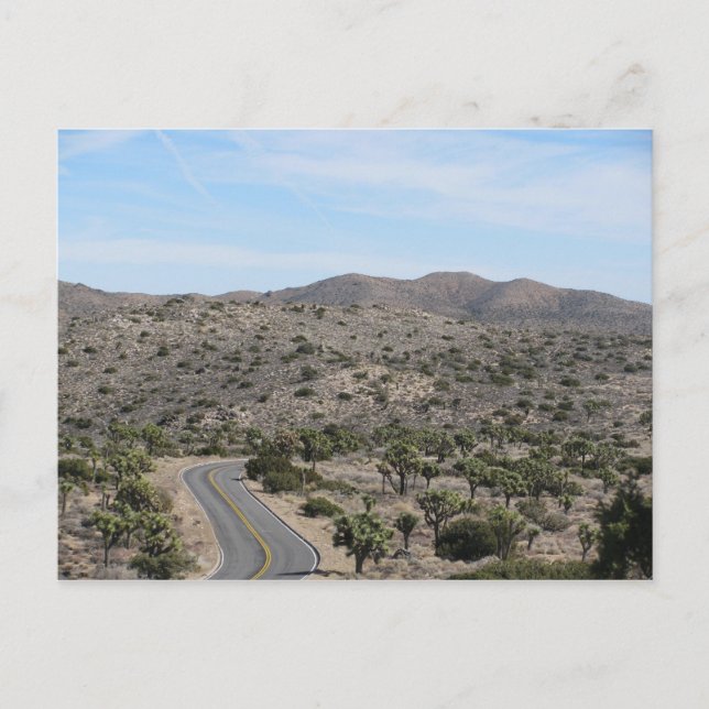 Carte Postale Route ouverte - Joshua Tree (Devant)