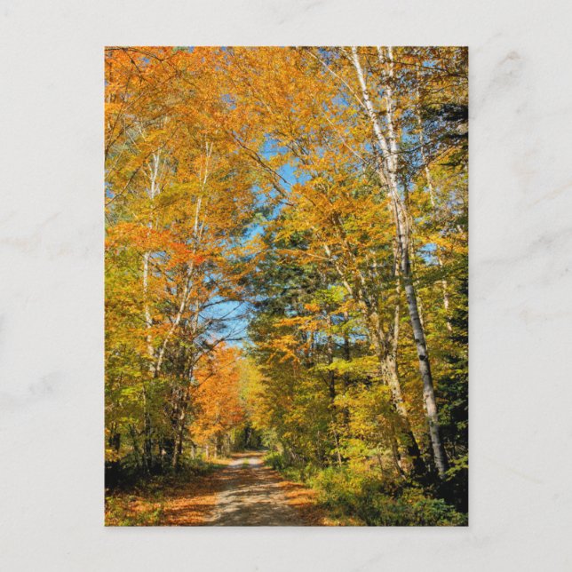 Carte Postale Route rurale couleurs d'automne New Hampshire (Devant)