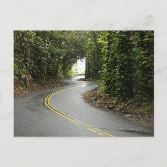 Carte Postale Route sinueuse à travers la forêt tropicale, île d (Devant)