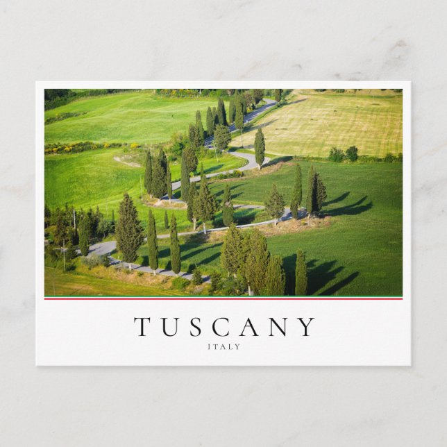 Carte Postale Route sinueuse Cypress en Toscane, Italie (Devant)
