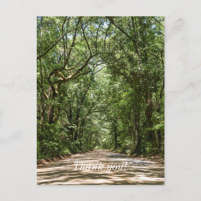 Carte Postale Route vers Angel Oak Merci (Devant)