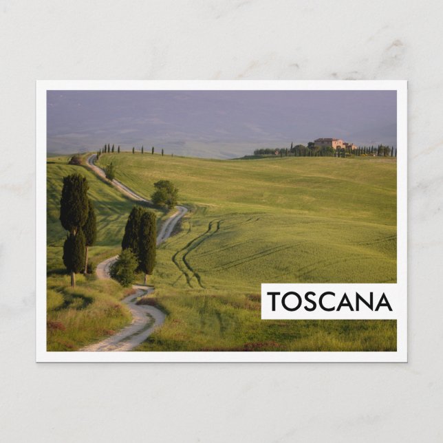 Carte Postale Route vers Terrapille en Toscane, Toscane (Devant)
