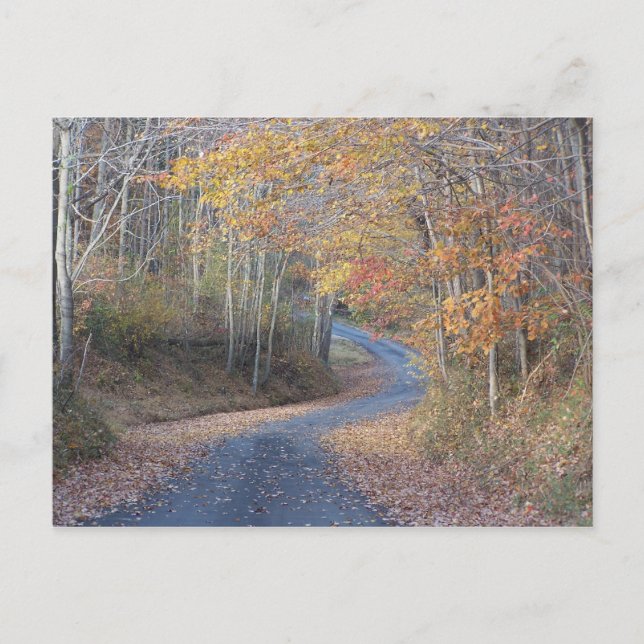 Carte Postale Routes de campagne (Devant)