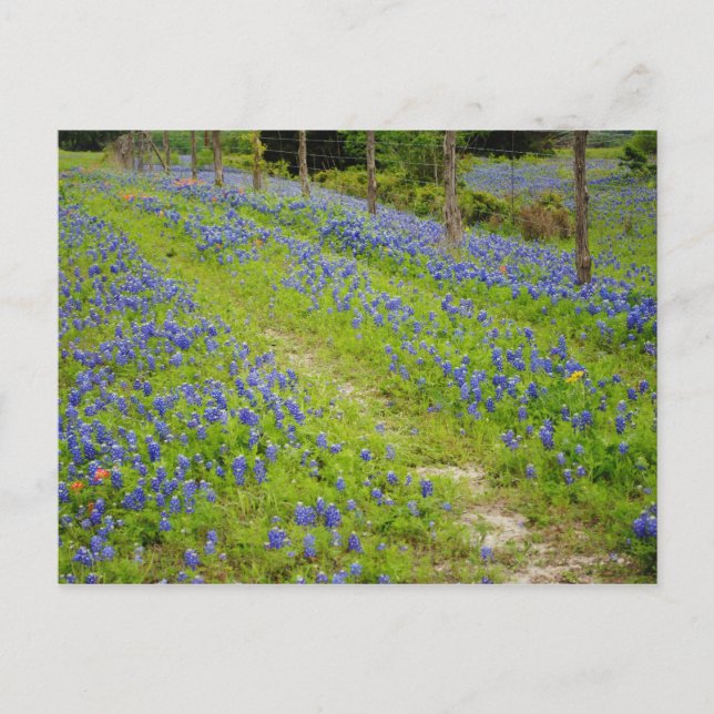 Carte Postale Routes de terre (Devant)