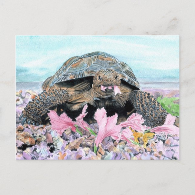 Carte postale Roxy the Turtle (Devant)