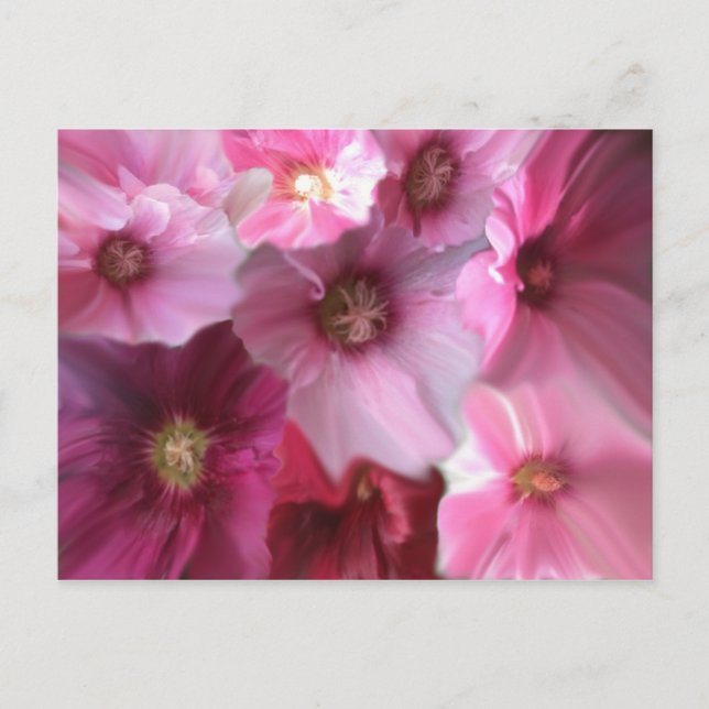 Carte Postale Royal (Devant)