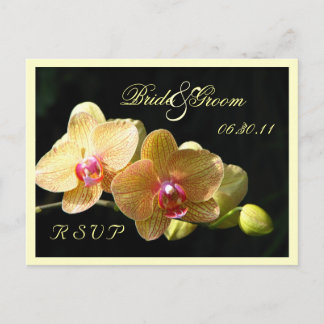 Carte postale RSVP Orchidées Jaunes