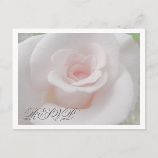 Carte postale RSVP Rose (Devant)