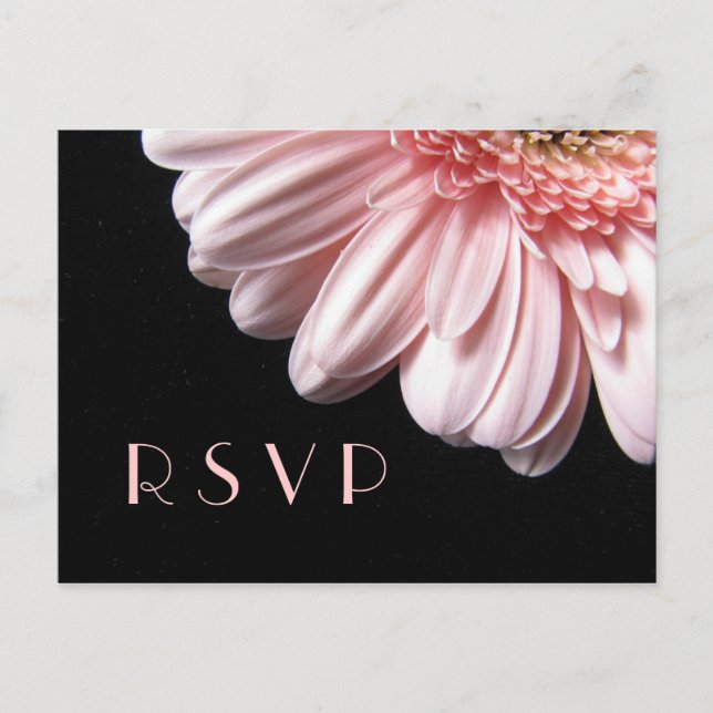 Carte postale RSVP rose Gerbera Daisy (Devant)