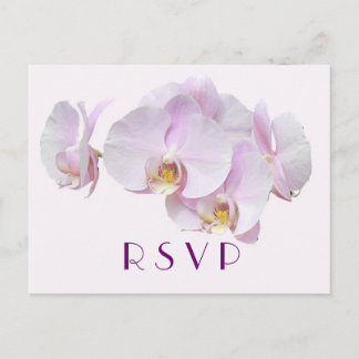 Carte postale RSVP Soft & Elegant Orchids
