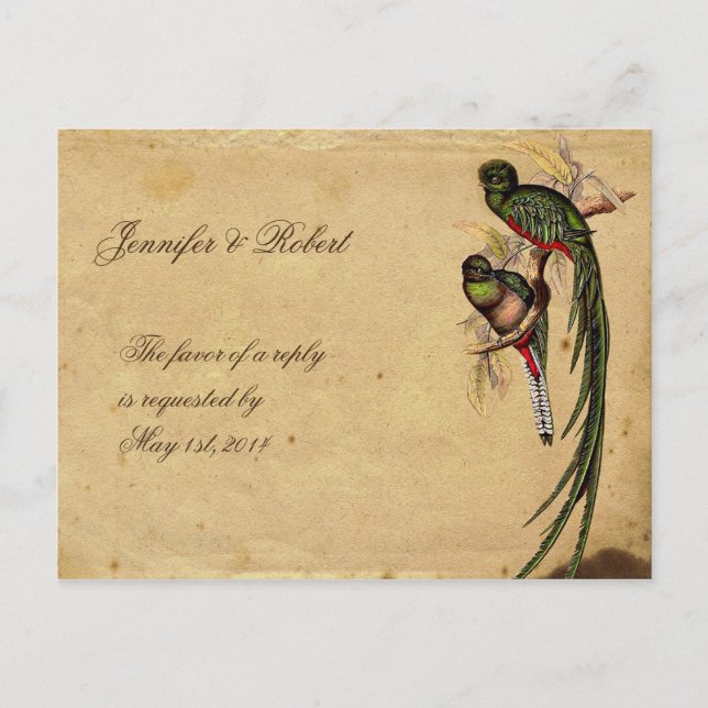 Carte postale RSVP vintage Quetzal Bird (Devant)