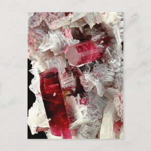 Carte Postale Rubellite