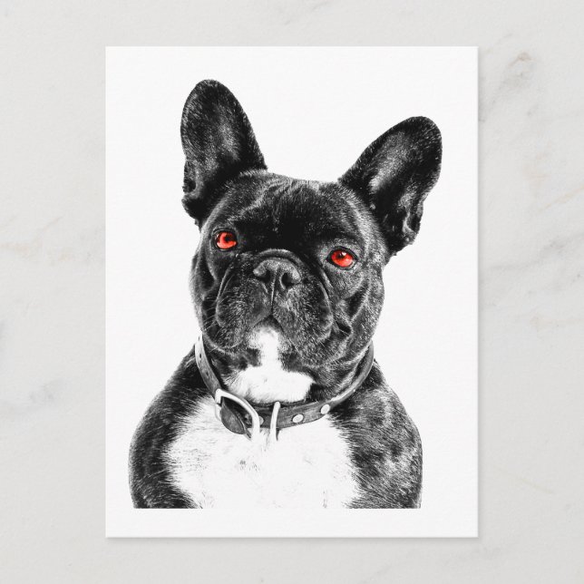 Carte Postale Ruby Eyed French Buldog Portrait (Devant)