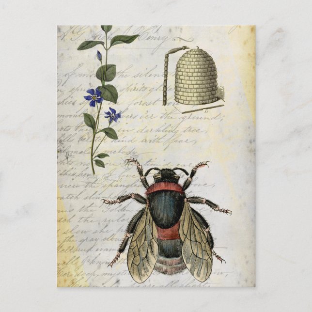 Carte Postale Ruche à fleurs d'abeilles (Devant)