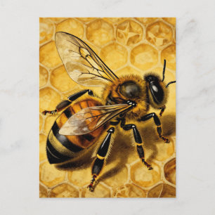 Carte Postale Ruche d'abeille miel doré naturel