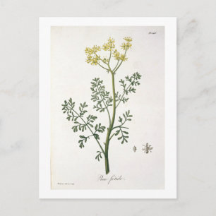 Carte Postale Rue de "Phytographie Medicale" de Joseph Roques