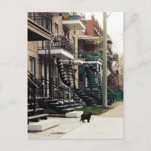 Carte Postale Rue la fontaine