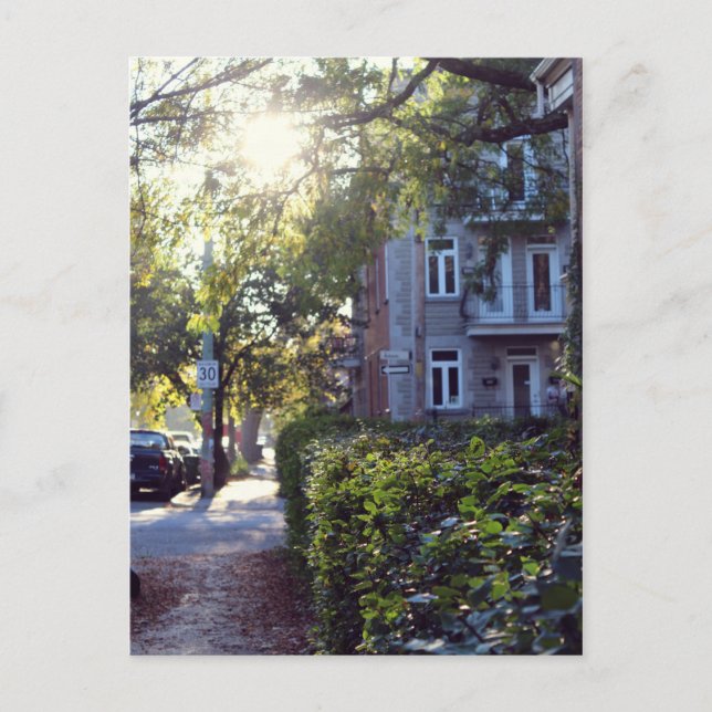 Carte Postale Rue Sicard (Devant)