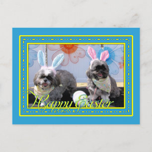 Carte Postale Ruffles_Riley_Shih_Tzu_Miller-2