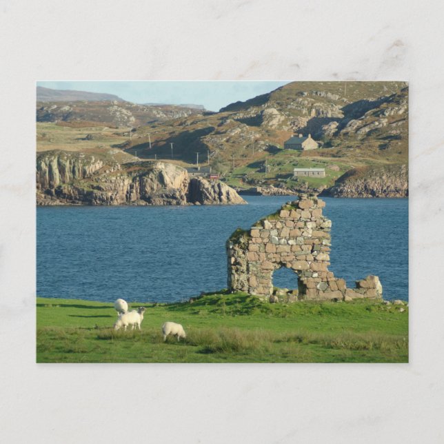 Carte Postale Ruine sur Iona (Devant)