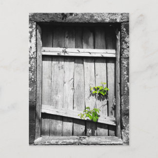 Carte Postale Ruines