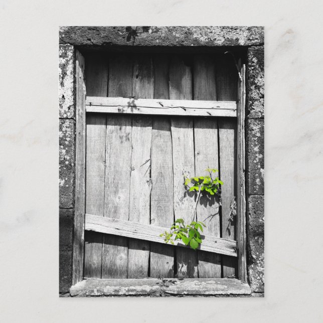 Carte Postale Ruines (Devant)