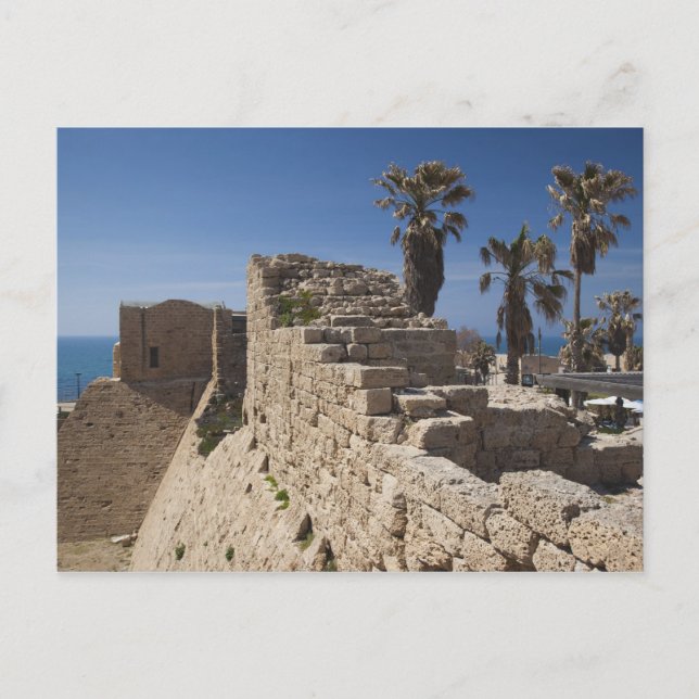 Carte Postale ruines de Césarée port construit par Hérode le Gra (Devant)
