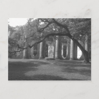 Carte Postale Ruines de l'église Old Sheldon à Yemassee, SC