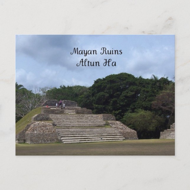 Carte Postale Ruines Mayas, Altun Ha (Devant)