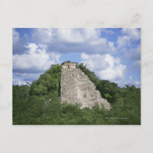 Carte Postale Ruines mayas de Coba, péninsule du Yucatan, Mexiqu
