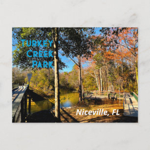 Carte Postale Ruisseau de la dinde Niceville Floride