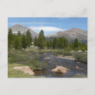 Carte Postale Ruisseau de montagne de High Country III à Yosemit