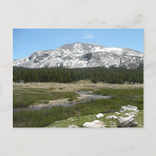 Carte Postale Ruisseau de montagne du High Country I