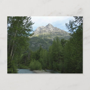 Carte Postale Ruisseau McDonald dans le parc national de Glacier