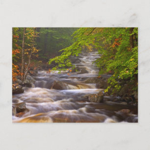 Carte Postale Ruisseaux le long du sentier des Appalaches