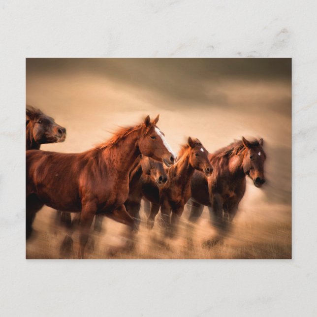 Carte Postale running horses, blur and flying manes (Devant)