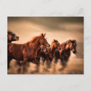 Carte Postale running horses, blur and flying manes