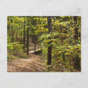 Carte postale Runway Pathway